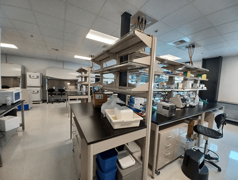 Web Laboratory