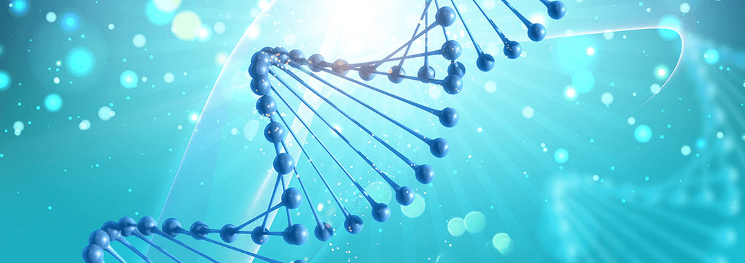 DNA Structure